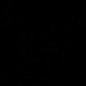 Meet your Posher, Cameron